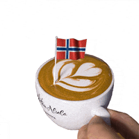 Coffee Time Norway GIF by Dritan Alsela Coffee
