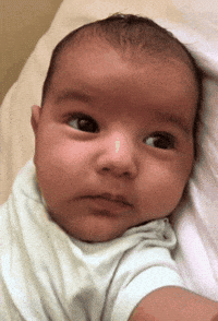 Bebe Gracioso Gifs Get The Best Gif On Giphy