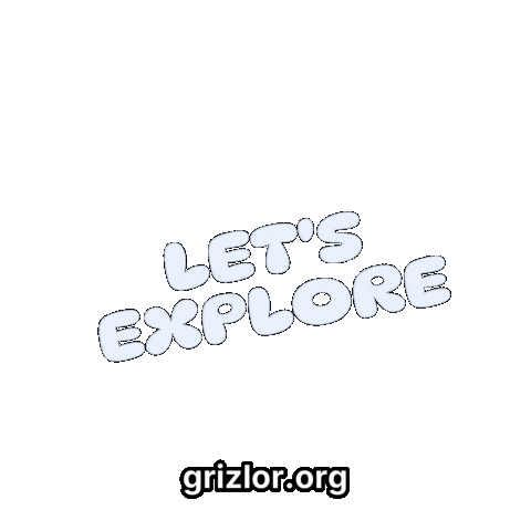 Fun Bear Sticker by grizlor