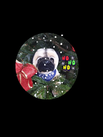 Christmas Button GIF by SandraLegreiss