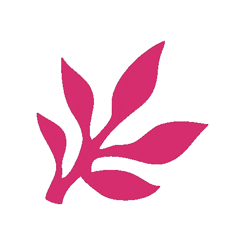 Skincare Waxing Sticker by The Pink Canoe Studio