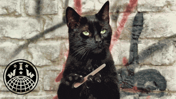 Black Cat GIF by Industrial Workers of the World