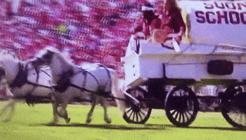 200.gif