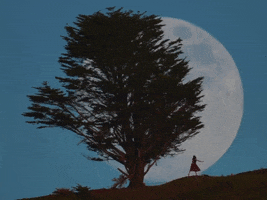Moon Moonrise GIF by Storyful