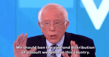 Bernie Sanders Gun Control GIF