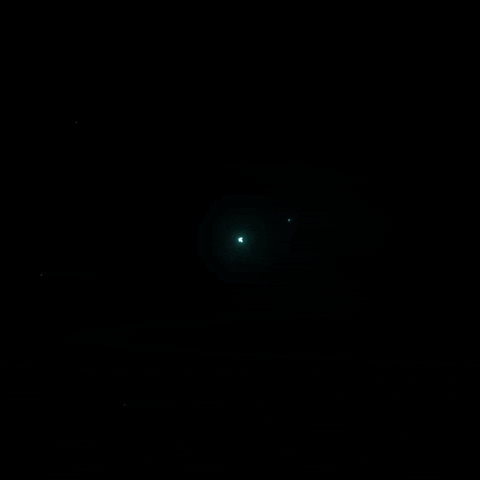 Neon GIF