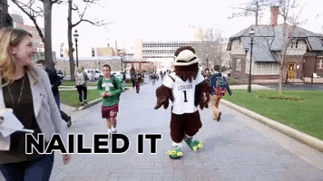 high five college GIF by Lehigh University