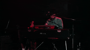 polyvinylrecords keyboard live music maracas generationals GIF