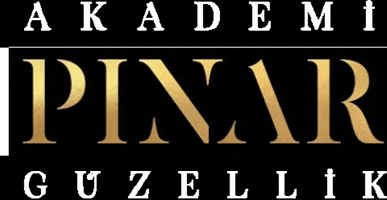 Pinar Akademi GIF