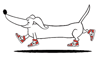 Dog Dunk Sticker by Nike Chicago