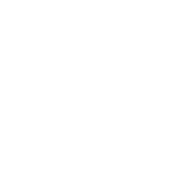 Star Ster Sticker by Eigen Huis & Tuin