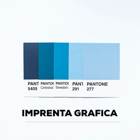 IMPRESORAELCANO GIF