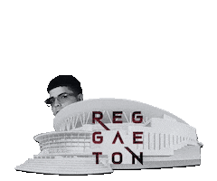 Pina Records Sticker