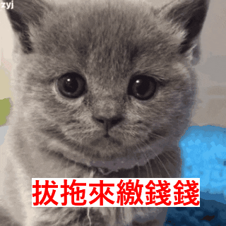 交錢啊 GIF