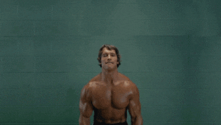 Arnold Schwarzenegger Cats GIF - Find & Share on GIPHY