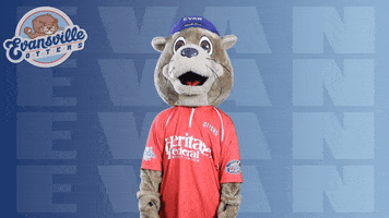 Baseball League GIF by Evansville Otters
