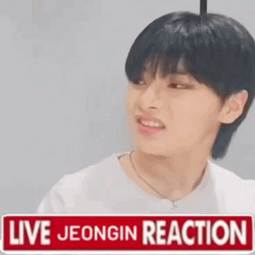 Stray Kids Skz GIF