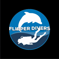Dive Scubadive GIF by Flipper