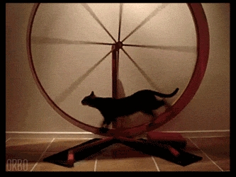 giphy.gif?cid=3640f6095bb4e4847054644373