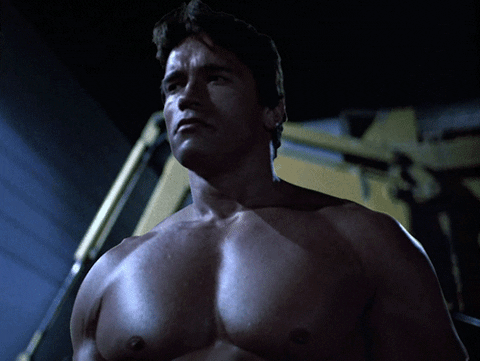 arnold schwarzenegger terminator GIF