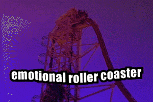 Inside Out Rollercoaster GIF by Nikki Elledge Brown