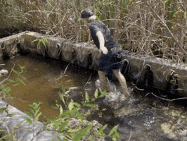 Fall Slip GIF