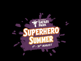 Superherosummer GIF by WMSP