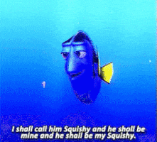 finding dory GIF