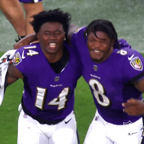 Happy Baltimore Ravens GIF by NFL