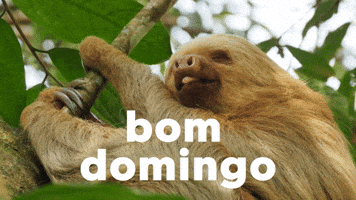 Domingo Finde GIF by Sealed With A GIF