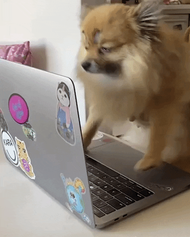 Angry Work GIF by Jess - Find & Share on GIPHY