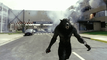Gta Lobao GIF