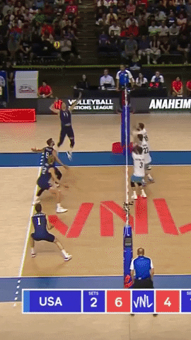 Sport What GIF by Volleyball World