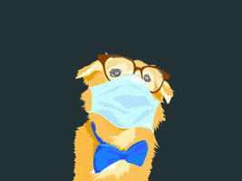 Save A Life Dog GIF by adobetrisha