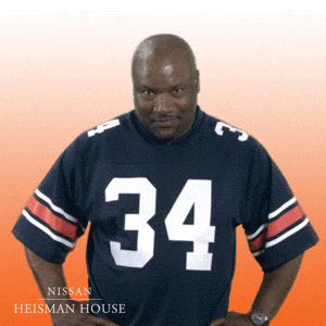 giphy-downsized.gif