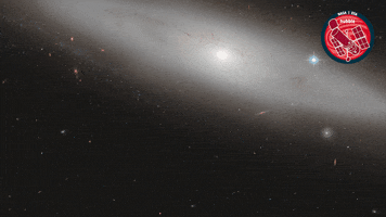 Nasa Shining GIF by ESA/Hubble Space Telescope