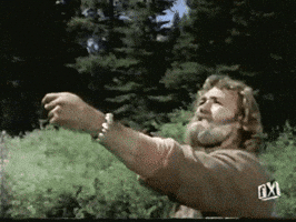grizzly adams 70s GIF
