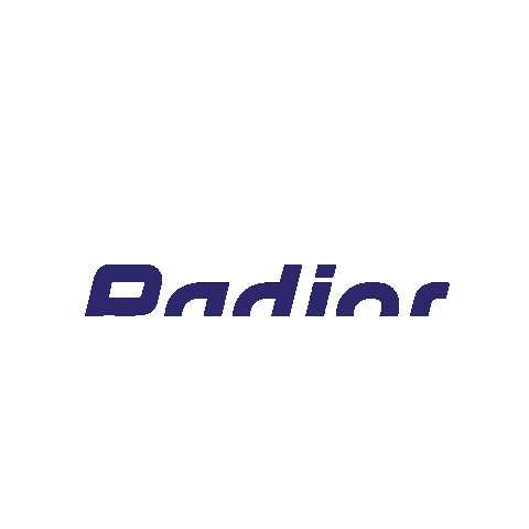 Benjamin Radior Bike Sticker