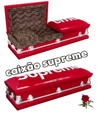 Caixão Supreme GIF