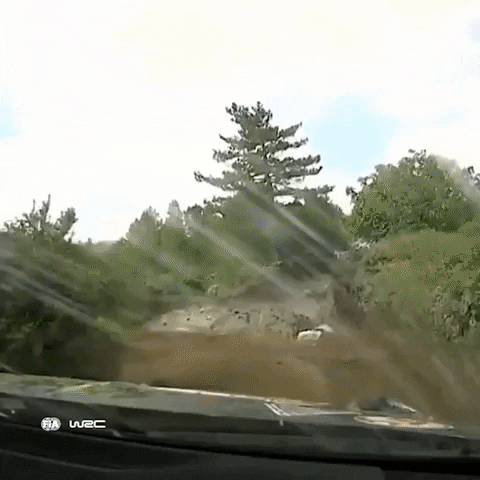 Driving On My Way GIF by FIA World Rally Championship