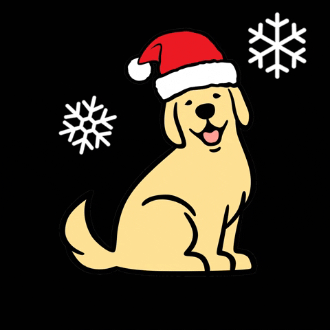 Golden Retriever Dog GIF by Mulligan's Pro Shop