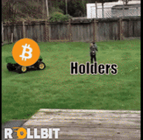 Meme GIF