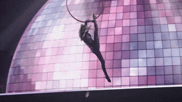 Circus Split GIF by Ringling Bros. and Barnum & Bailey