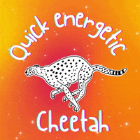Nft Cheetah GIF by Digital Pratik