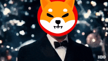 Shib Coin Gif By Shib GIF