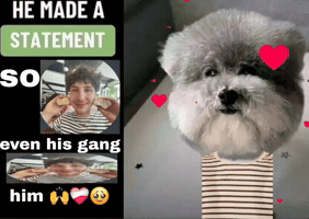Hasikom GIF