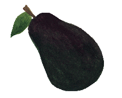 Fruit Sticker