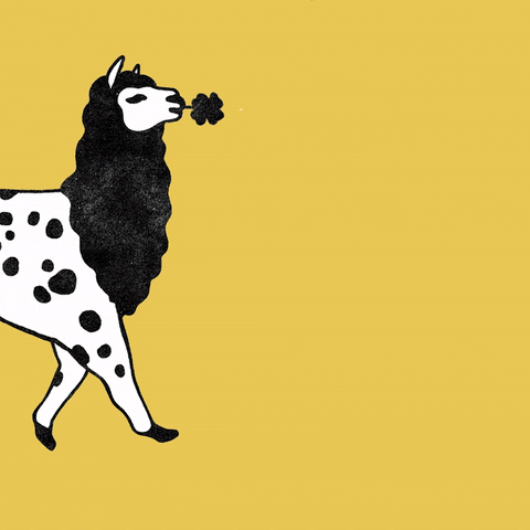 Animated GIF