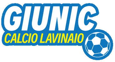 Football Sport Sticker by Pallavolo Roomy