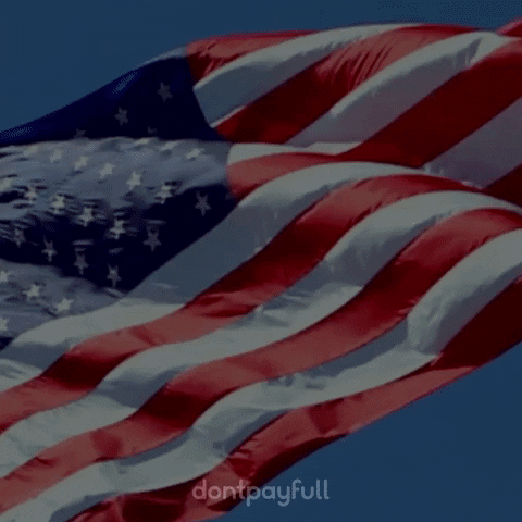 Independence Day Shopping GIF by DontPayFull